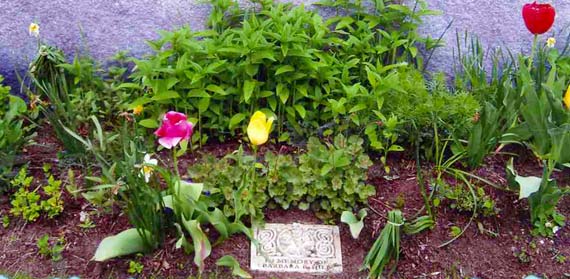 Barbara Hill Memorial Garden